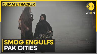 Pakistan Pollution: Is The Pakistan Government Doing Enough? | WION Climate Tracker