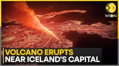 Iceland Volcano Erupts for the First Time in 800 Years, Aerial Footage Amazes Viewers | WION