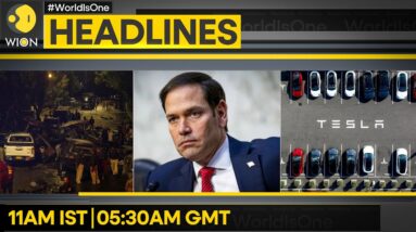 Marco Rubio As Secretary Of Tate? | Tesla Stock Extend Rally | WION Headlines