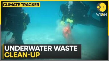 Croatian Divers Tackle Underwater Waste In Cleanup | WION Climate Tarcker