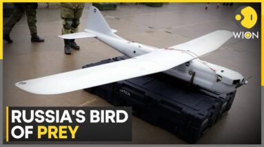 Russia-Ukraine War: Russia's Bird Of Prey, The Orlan-30 | World News | WION