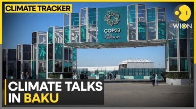 COP29 In Baku: Nations Approve New UN Rules On Carbon Markets At COP29 | WION Climate Tracker