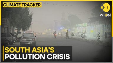 Dense Smog Chokes People In New Delhi & Lahore | World News | WION Climate Tracker