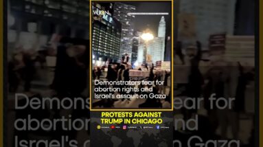 Protesters Rally Outside Trump Tower After U.S. Election Results | WION Shorts