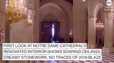 First look at Notre Dame Cathedral's new interior, five years after devastating fire