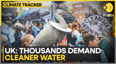 Tackling Water Pollution in UK | WION Climate Tracker | World News | WION