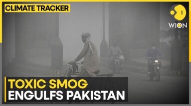 Pakistan Air Pollution: Lahore's Air Quality Crisis Worsens, Prompting School Closures | WION