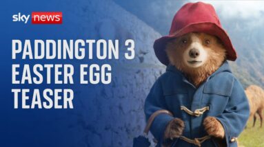 Paddington actor teases 'Easter egg' viewers should look out for in latest film