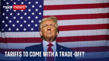 Trump tariffs: What could be the fallout of the new president's plans?