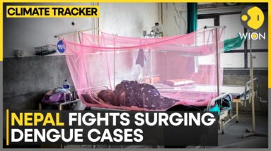 Nepal Dengue Crisis: 12 Killed & 28,000 Infected This Year | WION Climate Tracker | WION