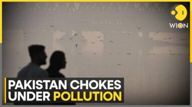 Pakistan Continues To Grapple With Smog | Air Pollution | World News | WION Climate Tracker