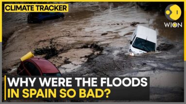 What Caused The Deadly Floods In Spain? | WION Climate Tracker