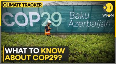 Will COP29 Really Make A Difference? | WION Climate Tracker