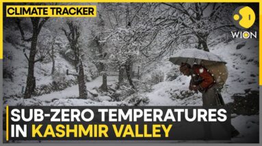 Bitter Cold Grips Jammu & Kashmir; Sub-Zero Temperatures in Valley | WION Climate Tracker