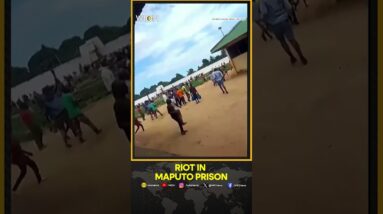 Mozambique Unrest: Footages Show Large Group Of Prisoners Escape Maputo Jail  | WION Shorts