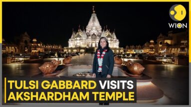 USA: Hindu Leaders Welcome Tulsi Gabbard at Akshardham Temple In New Jersey | WION