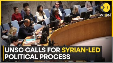 Syria's People Must Be Allowed To Determine Their Future: UNSC | World News | WION