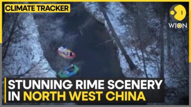 China: Rime Frost And Clouds Create A Winter Wonderland | WION Climate Tracker