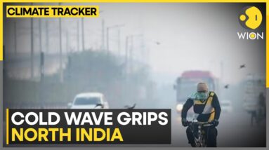 Delhi Records Season's Coldest Morning, Temperature Dips To 4.5°C | WION Climate Tracker