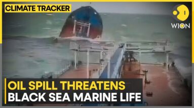 Russian Tankers Sink In Black Sea, Trigger Environmental Disaster | WION Climate Tracker