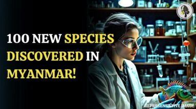 100 New Species Discovered in Myanmar! | WION Podcast