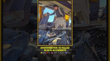 52 killed in bus accidents in Afghanistan | WION Shorts | World News