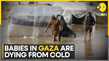 Israel-Hamas War: Newborn Babies Are Dying Of Cold In Gaza | WION | World News