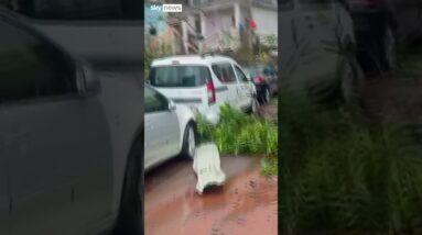 Aerial view of cyclone damage