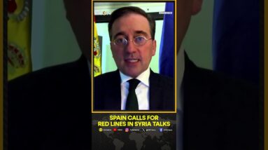 Spain Calls For 'Red Lines' in Talks With New Syria Leadership | WION Shorts