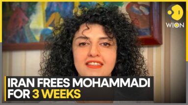 Narges Mohammad Allowed To Leave Prison For 21 Days Post Surgery | World News | WION