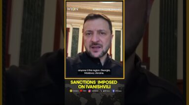 Ukraine Imposes Sanctions On Ivanishvili, Some Members Of Georgia Government | WION Shorts