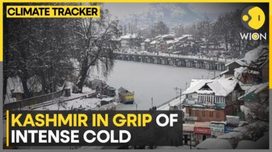 India: Kashmir Shivers As Intense Cold Wave Tightens Grip | WION Climate Tracker