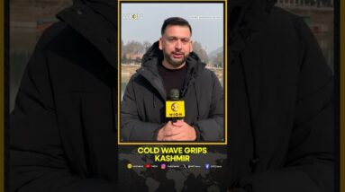 Jammu and Kashmir: Temperature Plummets Below Freezing Point Across J&K | WION Shorts