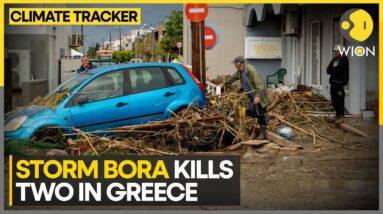 'Bora' Sweeps Across Greece, Floods Homes & Streets | WION Climate Tracker