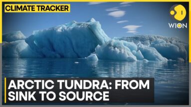 Arctic Undergoes Dramatic Transformation | WION Climate Tracker | World Next