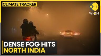 Delhi's Air Quality Improves To 'Moderate' | WION Climate Tracker