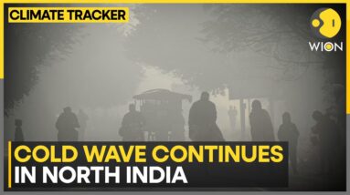 Delhi's Air Quality Remains 'Severe' | WION Climate Tracker