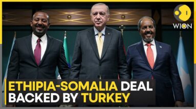 Somalia and Ethiopia Reach Agreement to Resolve Tensions, Says Turkish Leader | World News | WION