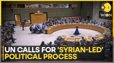 UN Security Council Calls for Syrian-Led Political Process | World News | WION