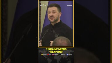 Ukraine Needs Weapons, Security Guarantees Before Negotiating With Russia: Zelensky | WION Shorts