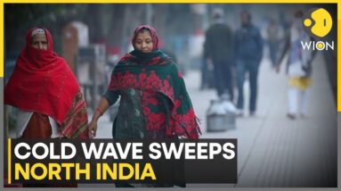 India Weather Forecast: Dense Fog Likely In Multiple States In North India | WION Climate Tracker