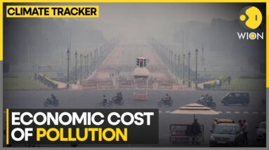 Businesses In Delhi Pay The Price Of Pollution | WION Climate Tracker | World News