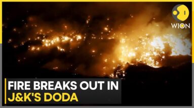 Fire Breaks Out in Forest Area in Jammu-Kashmir's Doda | World News | WION