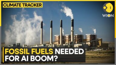 Fossil Fuels Initially Needed For The AI Boom? | WION Climate Tracker | World News