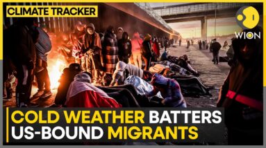 Migrants Facing Freezing Temperatures In Mexico City | World News | WION Climate Tracker