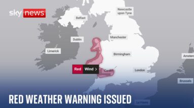 Storm Darragh: Severe red weather warning issued as storm set to bring 90mph winds