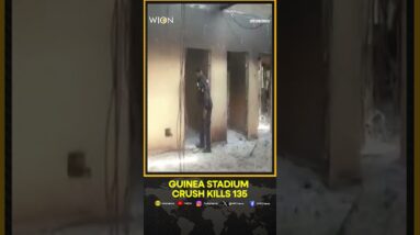 Guinea: At Least 135 People Were Killed In A Crush At A Soccer Stadium