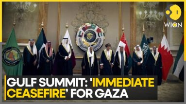 Gulf Leaders Demand Immediate Ceasefire In Gaza | Israel-Gaza War