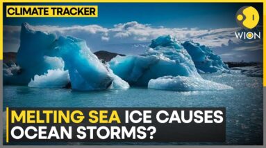 Ice Shelves To Melt In Warmer Waters | WION Climate Tracker