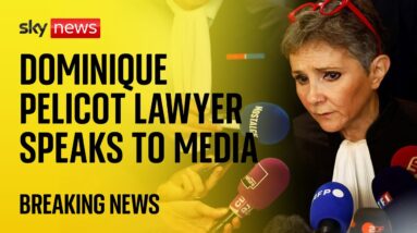 'Mr Pelicot has noted this decision': Dominique Pelicot's lawyer speaks to media